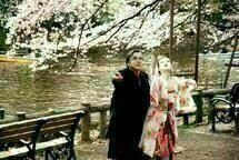 Kirschblüten - Hanami