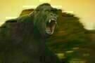 Kong Skull Island 1