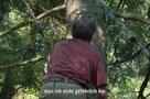 Krähen - Die Natur beobachtet uns - Trailer