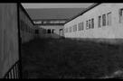 Krieg oder Frieden - Trailer