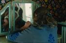 Just the Two of Us - Trailer