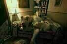 La casa lobo - Trailer