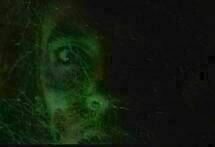 La maschera del demonio 11