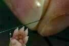 Laborat 01