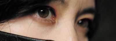 Lady Vengeance feature