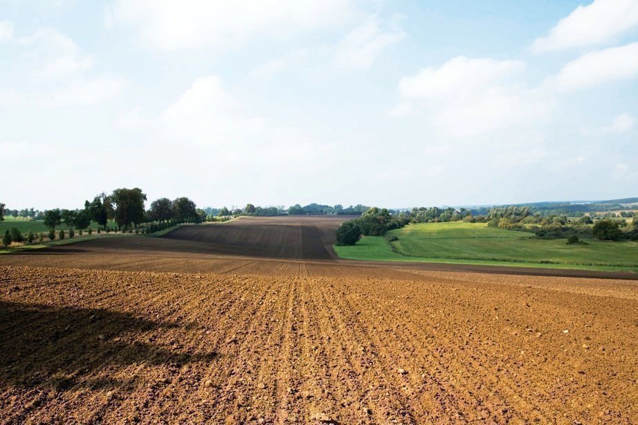 Landstu  ck 05