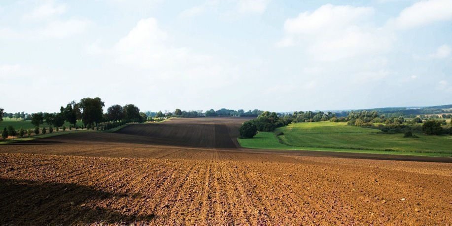 Landstueck Feature 1