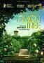 Lemon Tree