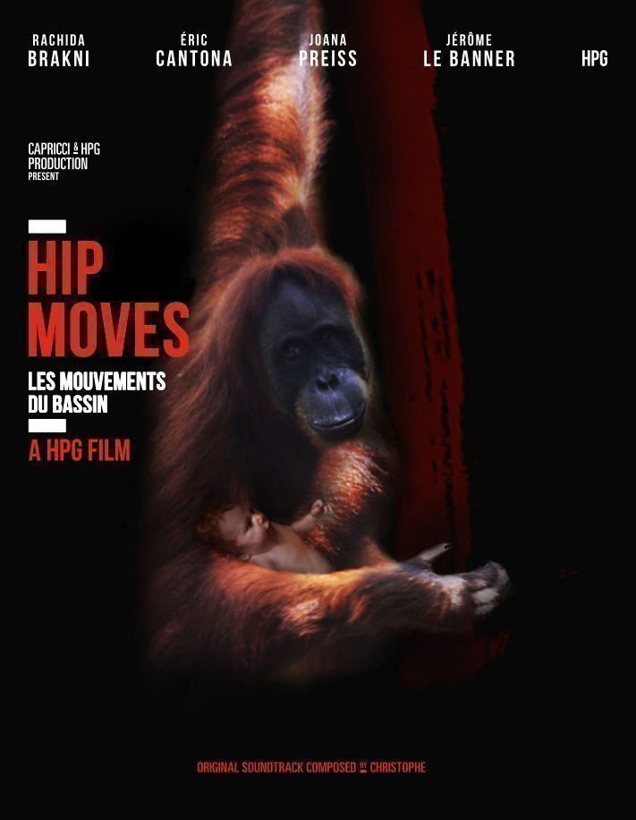 Les mouvements du bassin - Poster
