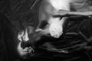 Let me die a woman 02