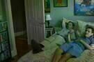 Life  Animated 1
