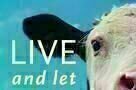 Live and Let Live - Plakat
