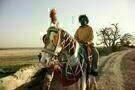 Live aus Peepli - Irgendwo in Indien 002