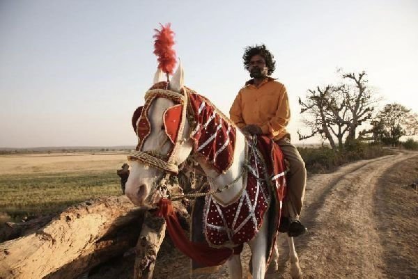 Live aus Peepli - Irgendwo in Indien 002