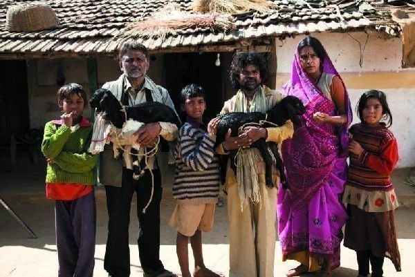 Live aus Peepli - Irgendwo in Indien 004