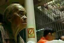 lola-5 lola-5