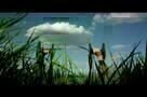 Lost River - Ausschnitt 1