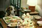 Love the Coopers 12