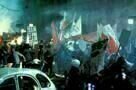 M. Butterfly 3