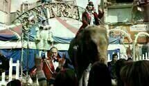 Mad Circus   1