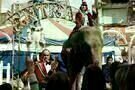 Mad Circus   1