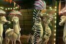 Madagascar 3 11