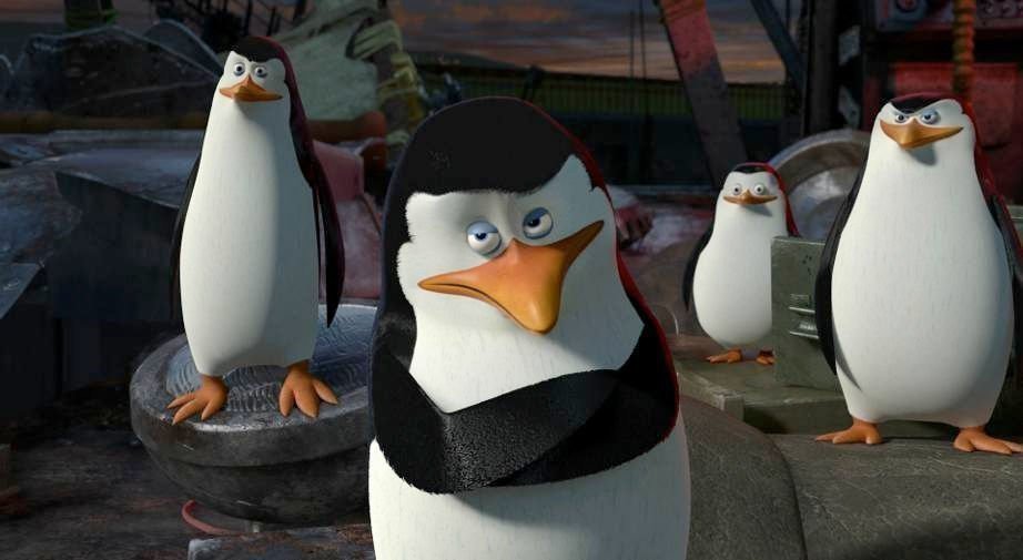 Madagascar 3 13