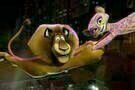 Madagascar 3 14