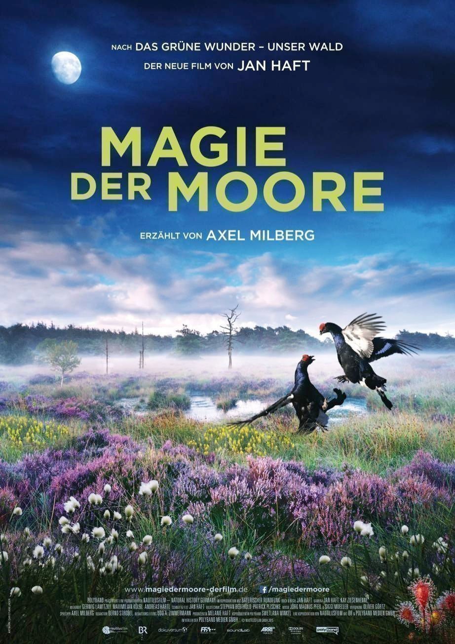 Magie der Moore - Plakat