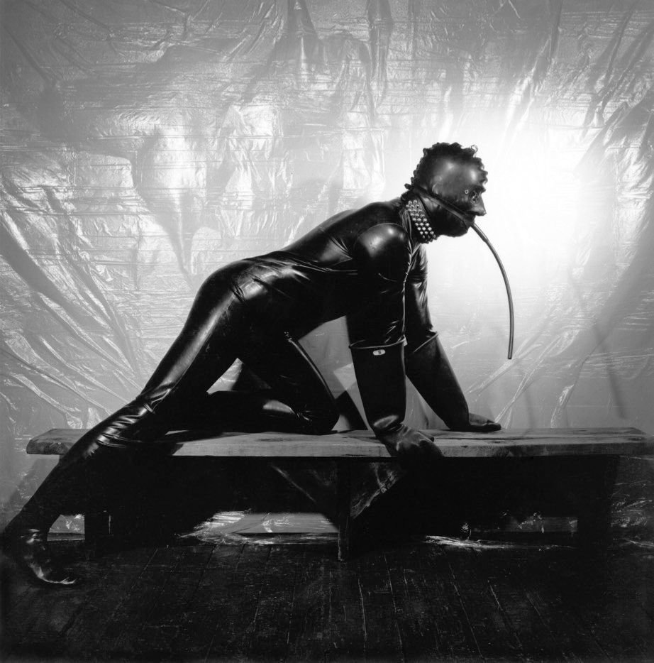 Mapplethorpe- Look At The Pictures 07 Mapplethorpe- Look At The Pictures 07