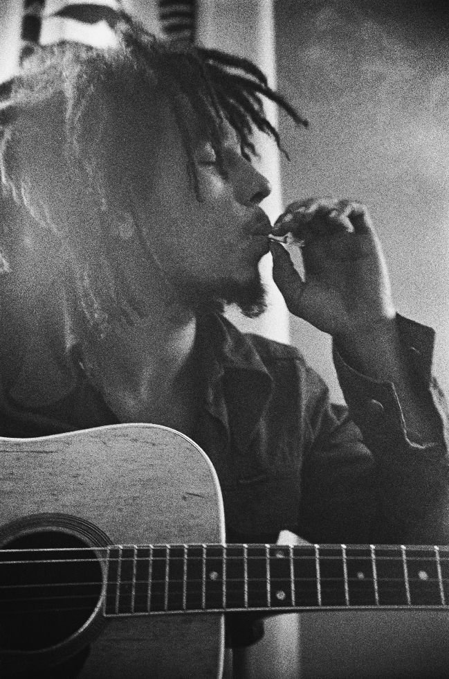 Marley 02