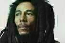 Marley 12