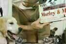Marley & Ich