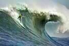 Mavericks
