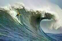 Mavericks Mavericks