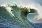 Mavericks