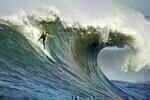 Mavericks