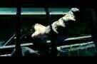 Mea culpa - Trailer