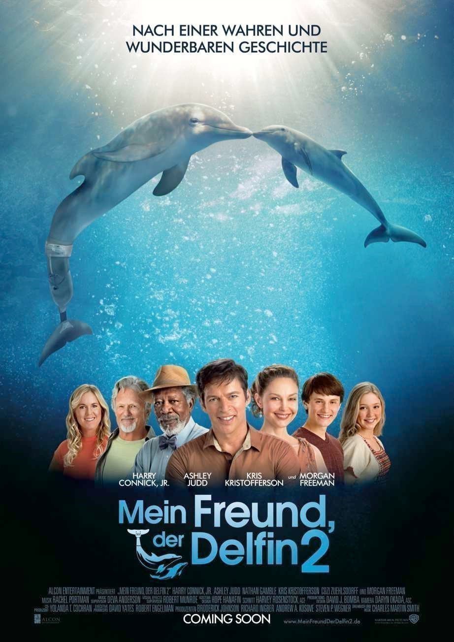 Mein Freund der Delfin 2 - Plakat