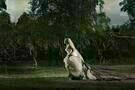 melancholia 10