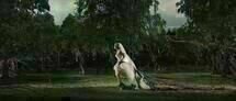 melancholia 10