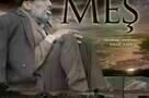 MES - Lauf  - Poster
