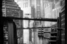 Metropolis 12