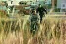 Miss Bala 08