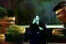 Mitternachtszirkus - Willkommen in der Welt der Vampire