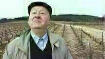 Mondovino
