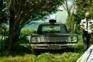 Moonrise Kingdom 18
