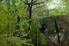 Moonrise Kingdom 19