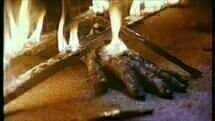 Morbidia 03 Morbidia 03