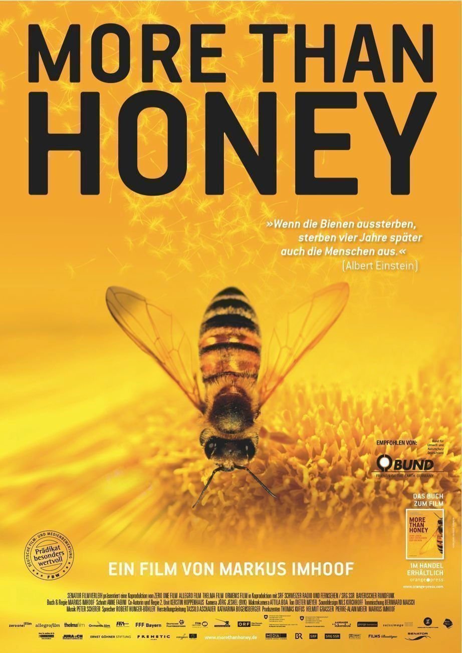 More than Honey - Plakat